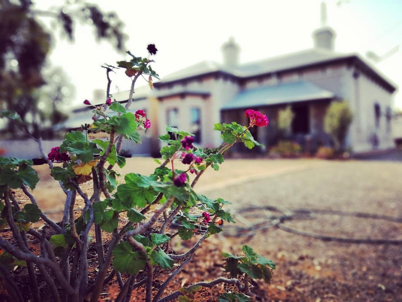Vagabond Historic Bed & Breakfast Port Germein ภายนอก รูปภาพ